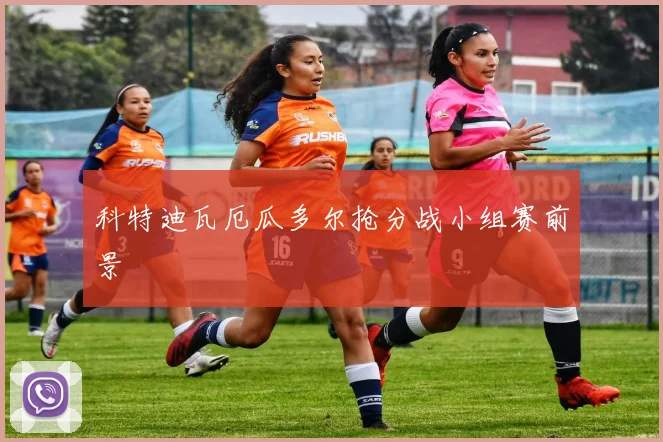 科特迪瓦厄瓜多尔抢分战小组赛前景